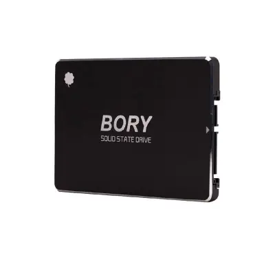 1 TB BORY SATA3 R500-C1T SSD 550/510 MBS (3 YIL GARANTİLİ)  