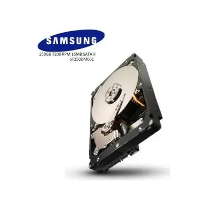 250 GB 3.5 SAMSUNG 7200 SATA2 16MB ST250DM001 