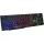 INCA IKG-449 RAINBOW EFECT MEKANİK HİS GAMING KLV 