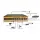 SENSEI POE-4002-78W 4X10/100+2X10/100 UPLINK 78W 250 METRE POE SWITCH 