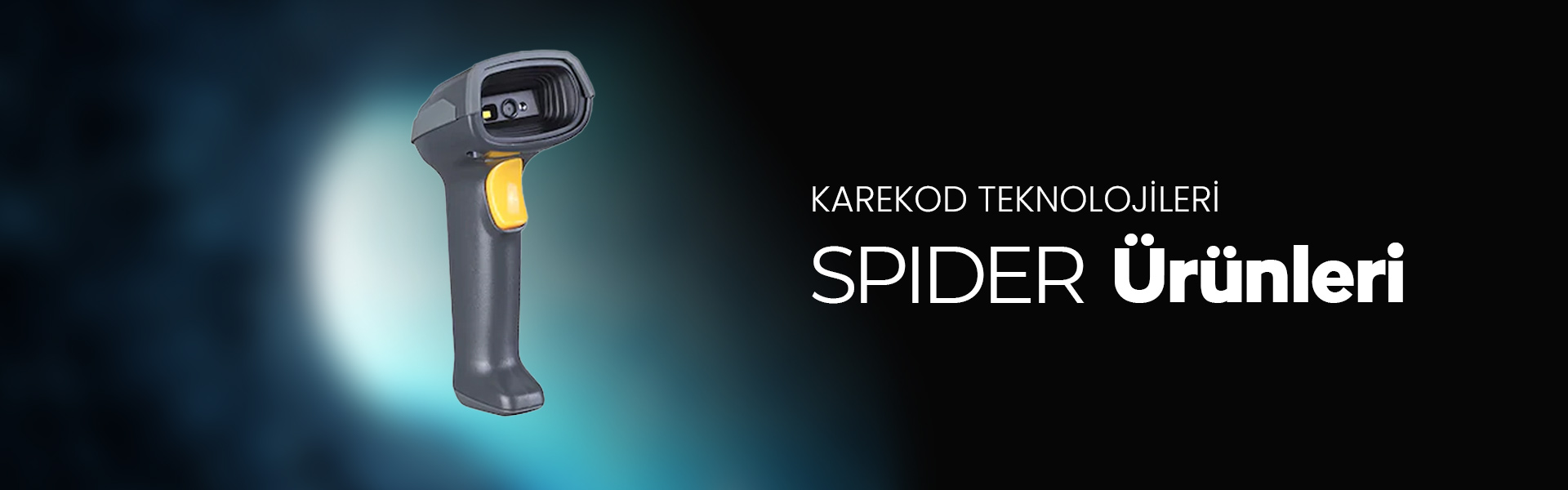  Spider