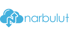 NarBulut